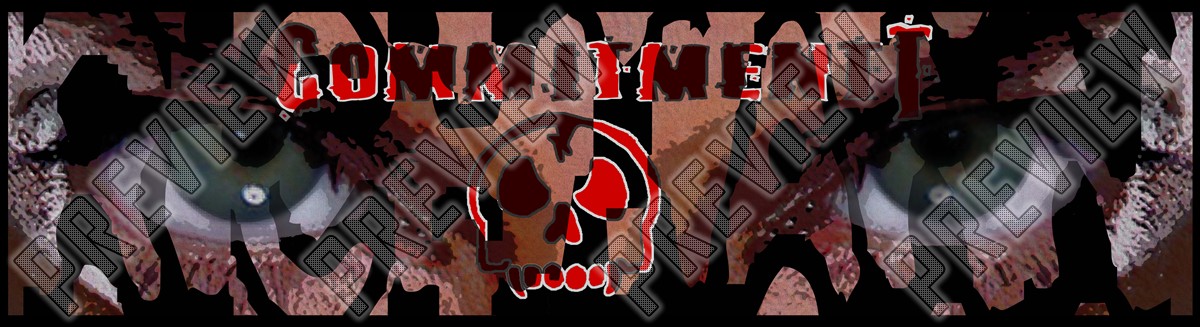 8-1/4 Inch Skateboard 8-1/4 Skateboard Deck