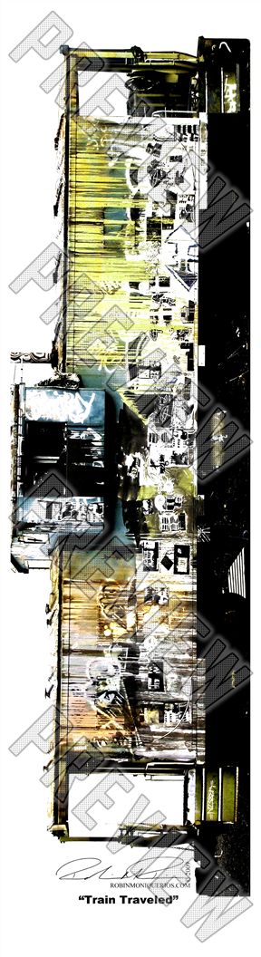 Train Traveled By Robin Rios 7-3/4 Skateboard Deck