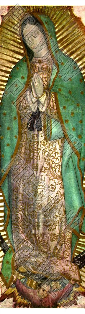 Our Lady of Guadalupe, Virgin of Guadalupe 7-1/2  7-1/2 Skateboard Deck