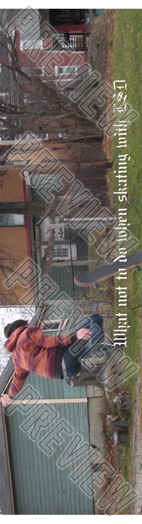 8 Inch Park Deck 8 Inch Skateboard Deck