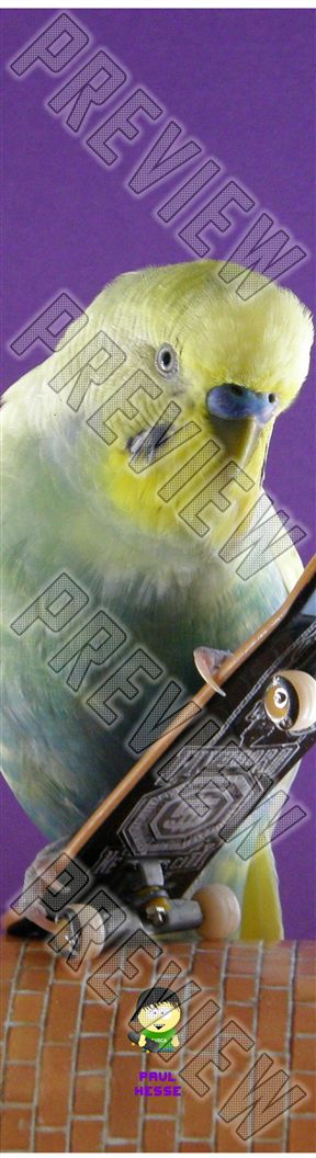 Budgie Board 8 Inch Skateboard Deck