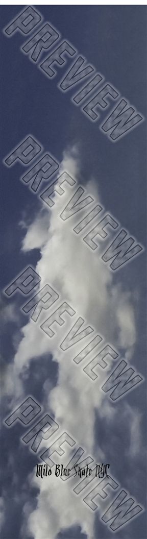 shark cloud 8 Inch Skateboard Deck