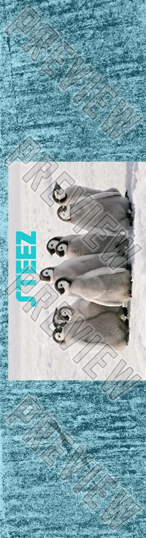 steez  8 Inch Skateboard Deck