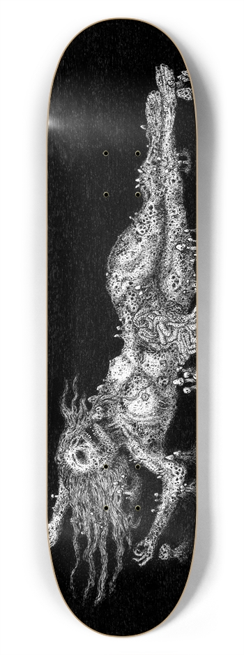 7-3/4 Skateboard  Deck  7-3/4 Skateboard Deck
