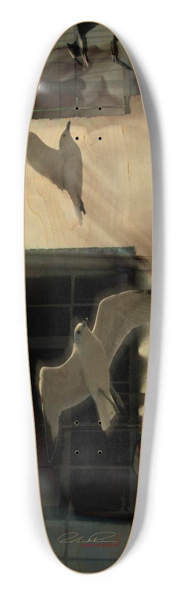 Entrance to Infinity Longboard Shape