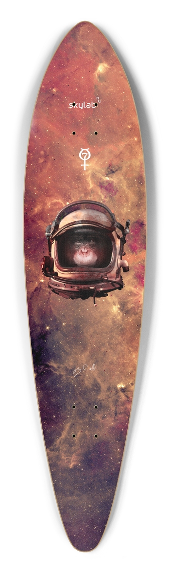HAM Mercury Mission Pintail Pintail Longboard