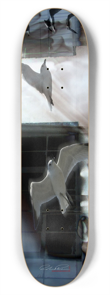 Entrance to Infinity 7-3/4 Skateboard Deck
