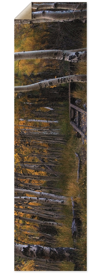 Fall Trees Griptape 9 x 33 Inch Griptape