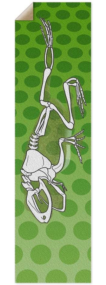 Frogbones Griptape 9 x 33 Inch Griptape