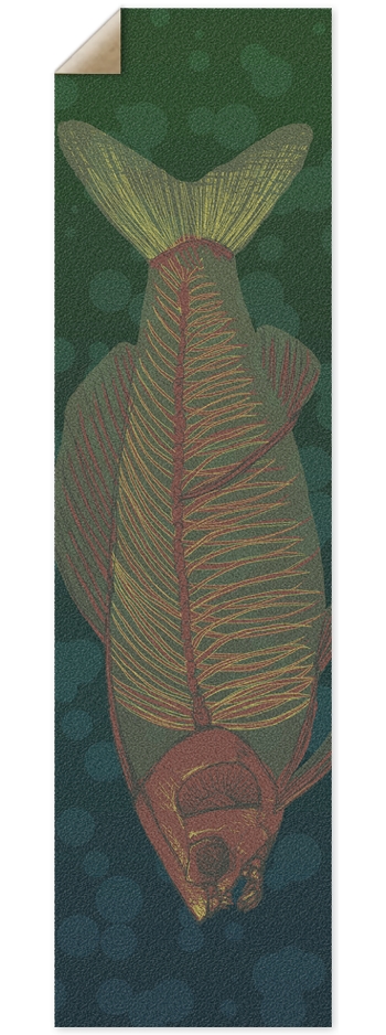 Fishbones Griptape 9 x 33 Inch Griptape