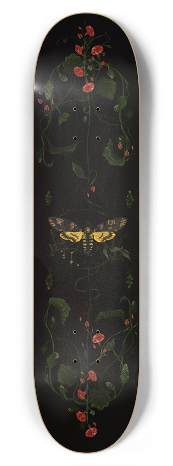 Heterocera 7-3/4 Skateboard Deck