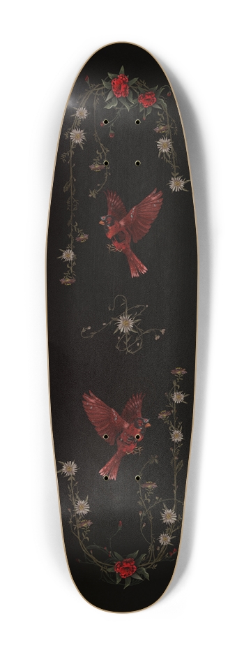 Aster amellus Cruiser Shape