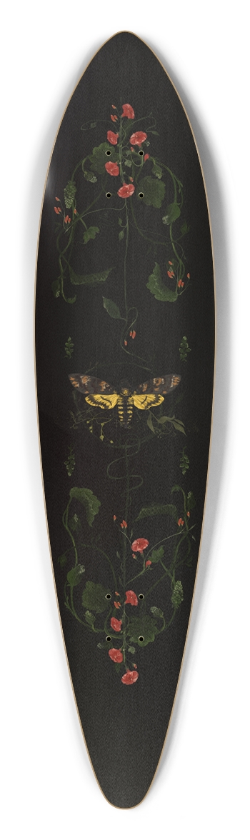Heterocera Pintail Longboard