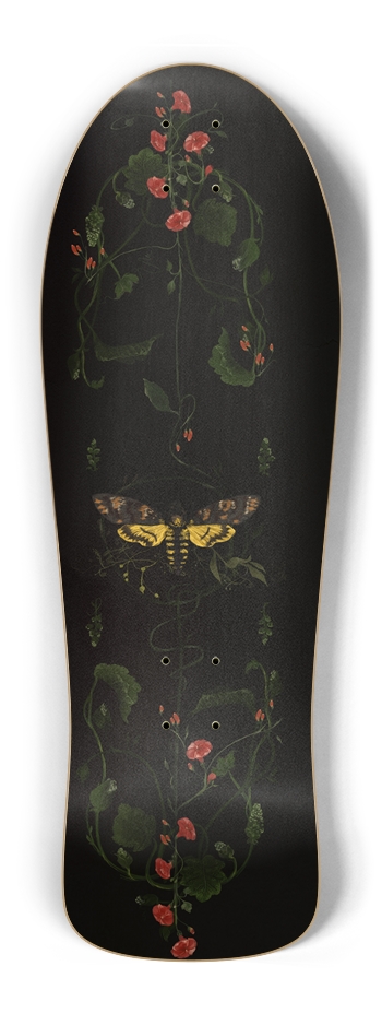 Heterocera Old School Shape