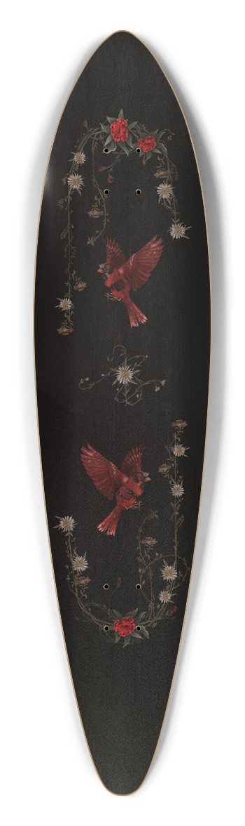 Aster amellus Pintail Longboard