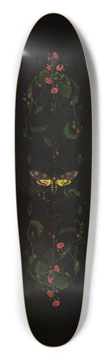 Heterocera Longboard Shape