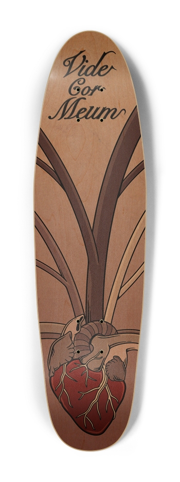 Vide Cor Meum Cruiser Shape