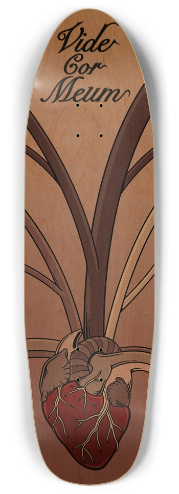 Vide Cor Meum Punk Nose Pool Shape