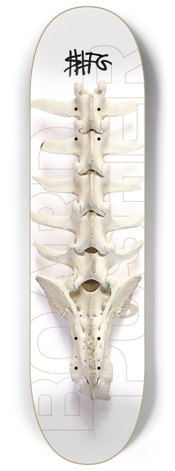 STFG Backbone 8-1/4 Skateboard Deck