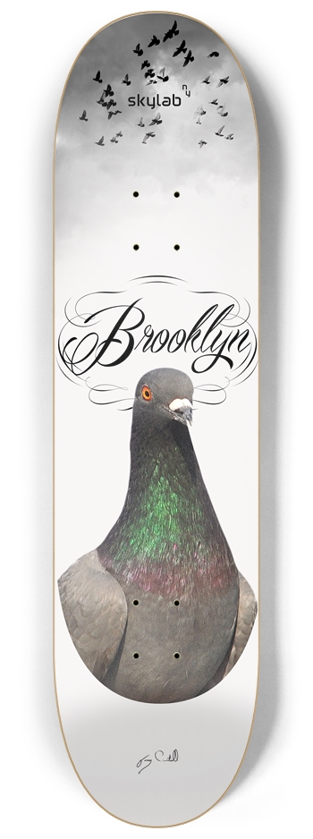 Brooklyn Pigeon 8.25 8-1/4 Skateboard Deck
