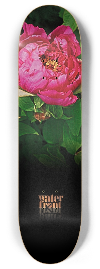 Waterfront - Peony - Floral Series 8 Inch Skateboard Deck