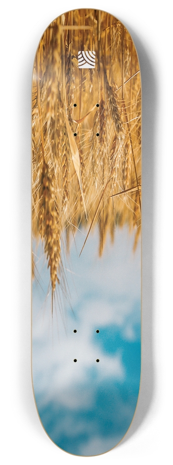 MSIX 2 8 Inch Skateboard Deck