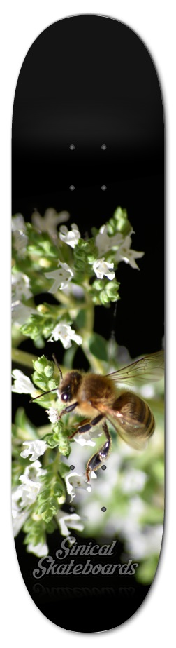 775 Bee 7-3/4 Skateboard Deck