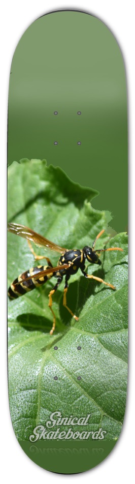 8,5 green wasp 8-1/2 Skateboard Deck