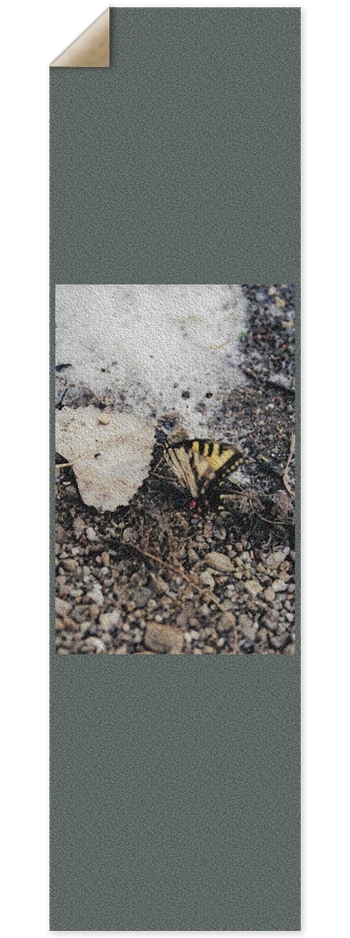 Beach Butterfly 9 x 33 Inch Griptape