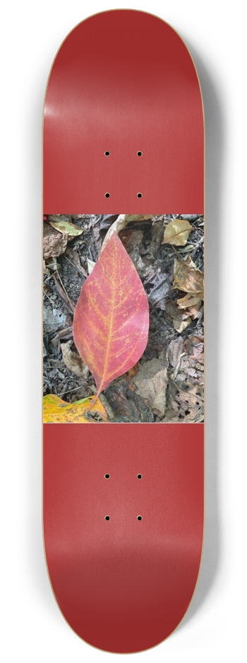 Red Leaf  8-1/4 Skateboard Deck