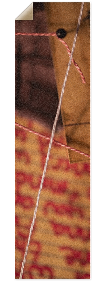 Pin and Paper (MCR Board) 9 x 33 Inch Griptape