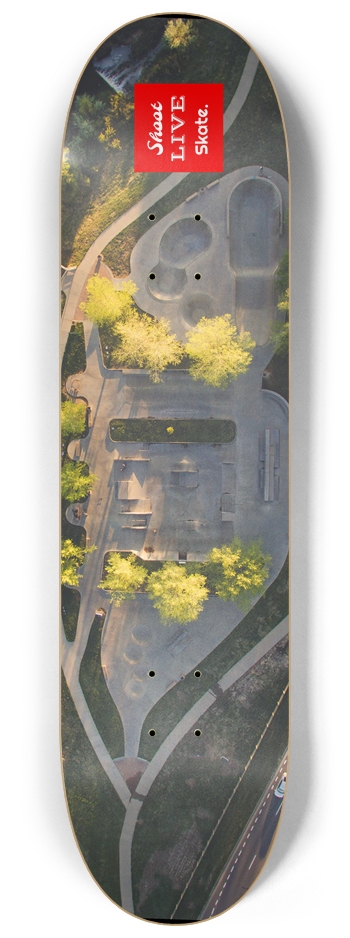 Stay Affiliated T-Park 8-1/4 Skateboard Deck