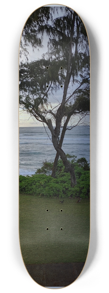 Kauai Hawaii .. Nature 8-1/4 Skateboard Deck