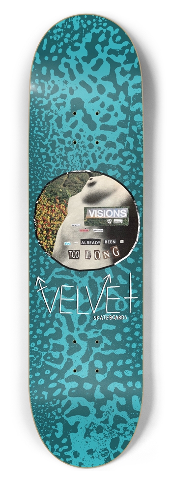 Visions of Home 8-1/2 Skateboard Deck