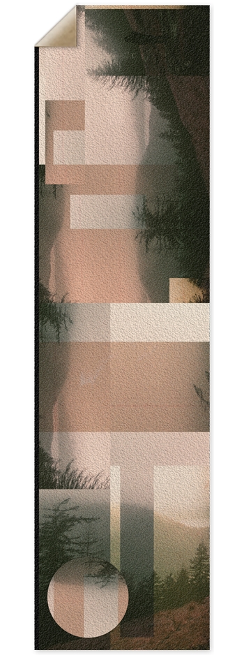 Pissific Northwest 9 x 33 Inch Griptape