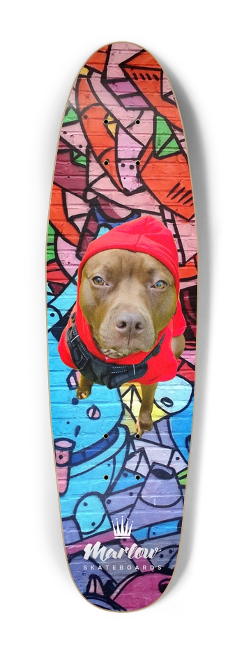 Urban June Cruiser Shape