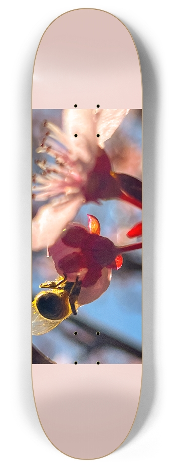 Spring Has Sprung 8 Inch Skateboard Deck