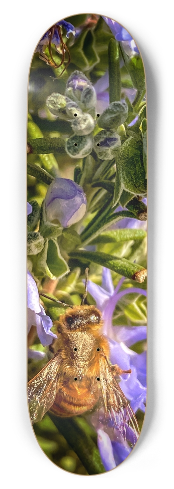 Honey Bee 8-3/4 Inch Skateboard