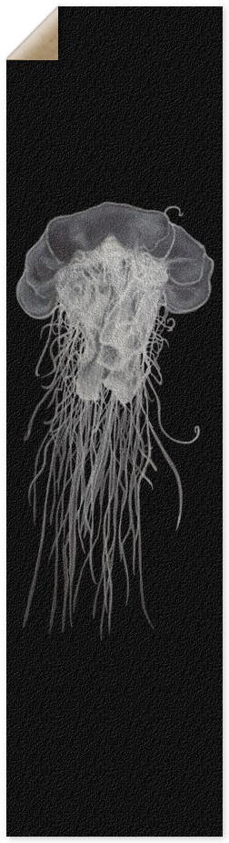 Jellyfish Griptape