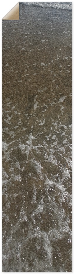 Dat Beach Tho Griptape
