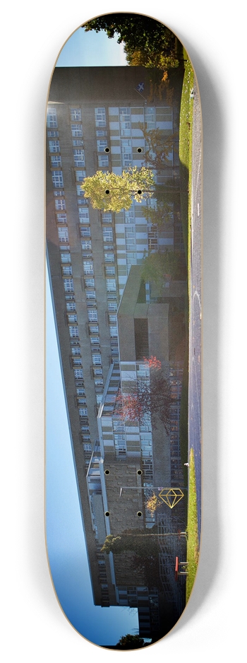 Calix / 8'' 8 Inch Skateboard Deck