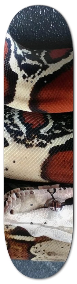 Custom Skateboard 8 Inch Skateboard Deck