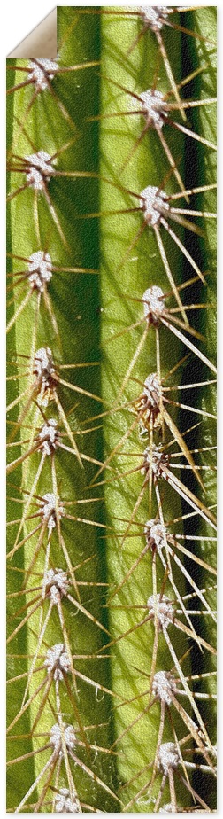 Cactus Jack Griptape