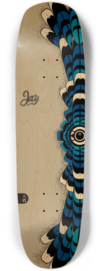 edged_jay.SQN Square Nose