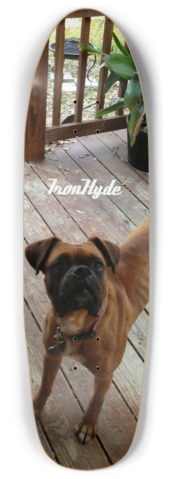 Custom Skateboard Punk Nose Pool Shape