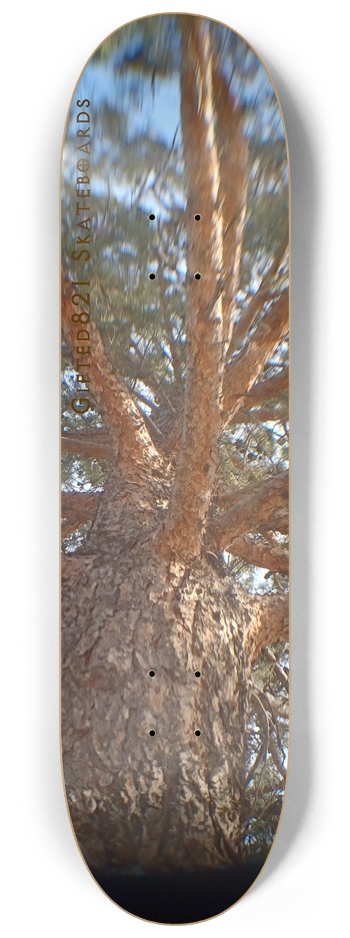 Tree Fuzz?