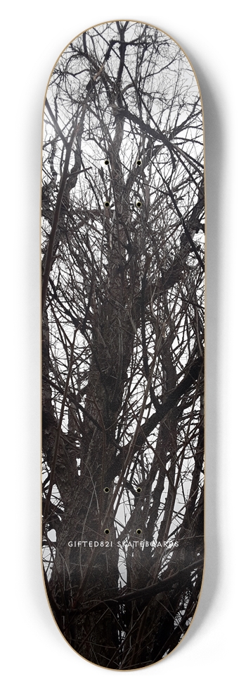 Tree Rot?