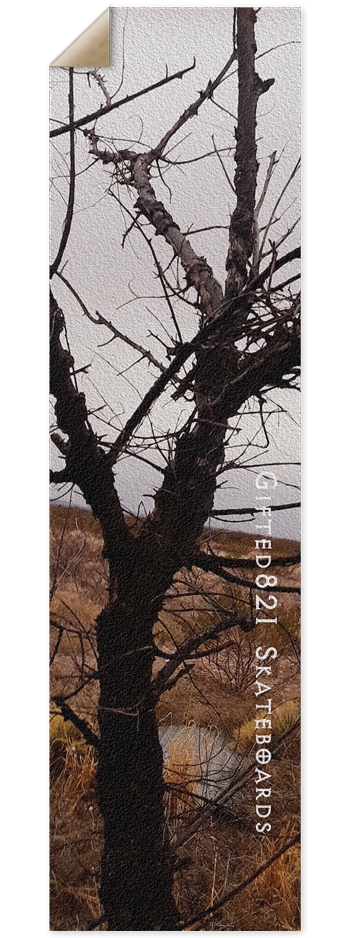 Tree Sandgrip?