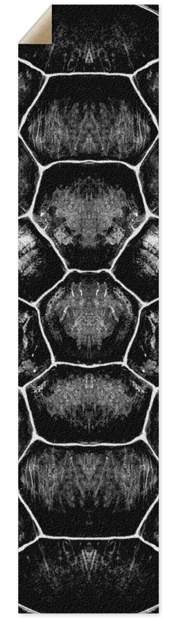 Shell Griptape- Longboard Griptape for Longboards