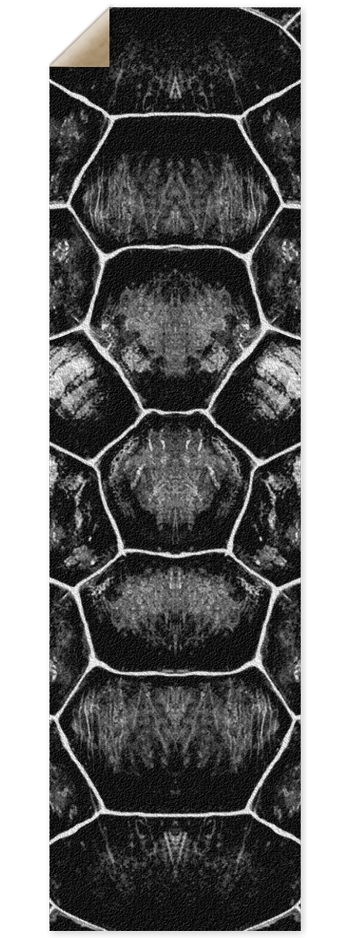 Shell Griptape 9 x 33 Inch Griptape